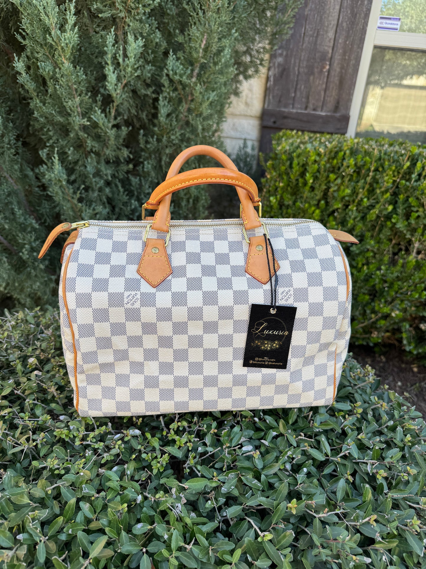 Louis Vuitton Speedy 30