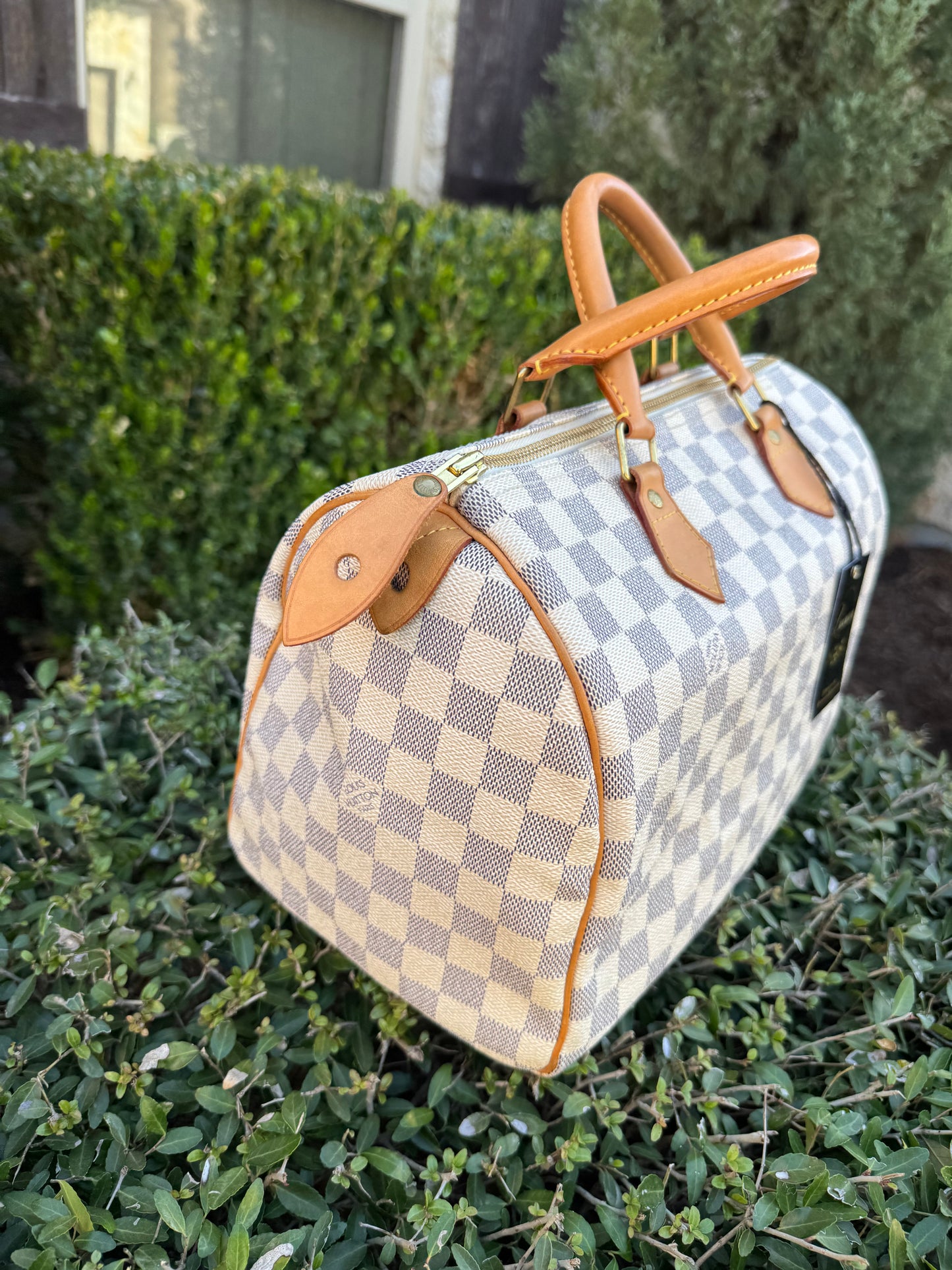 Louis Vuitton Speedy 30