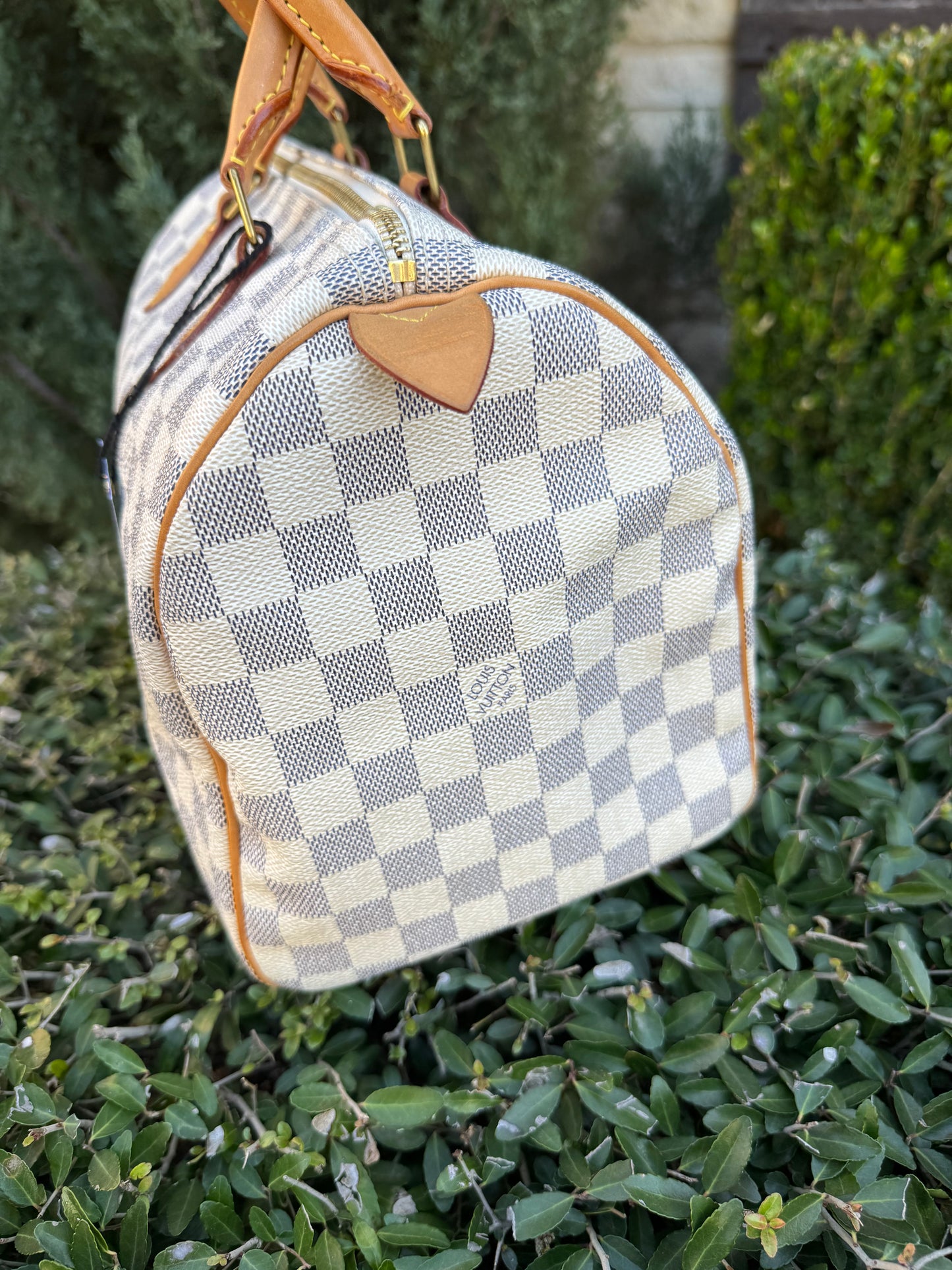 Louis Vuitton Speedy 30