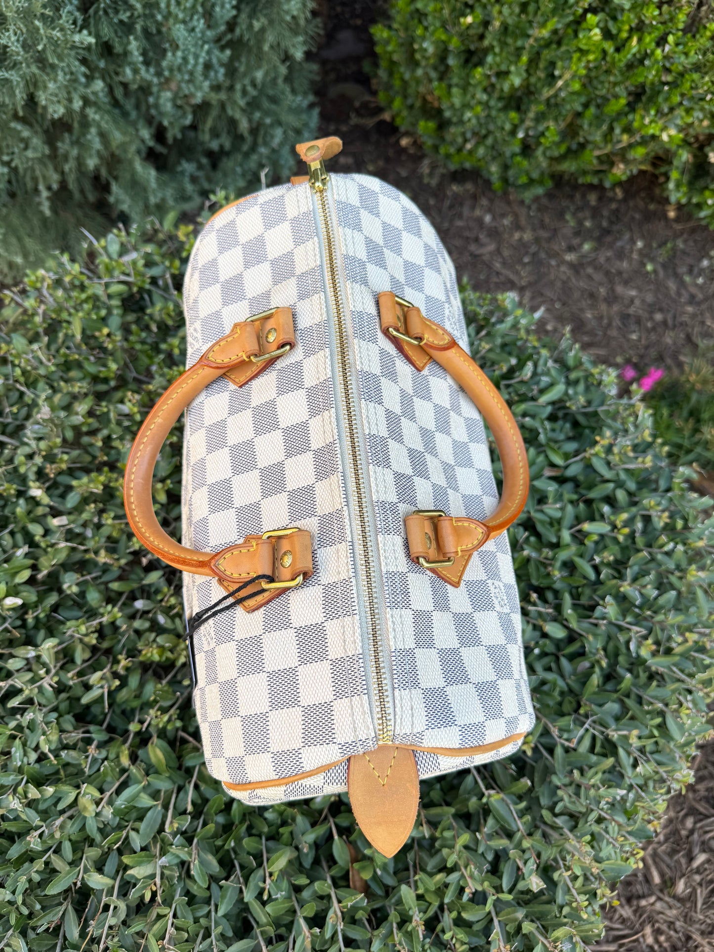 Louis Vuitton Speedy 30