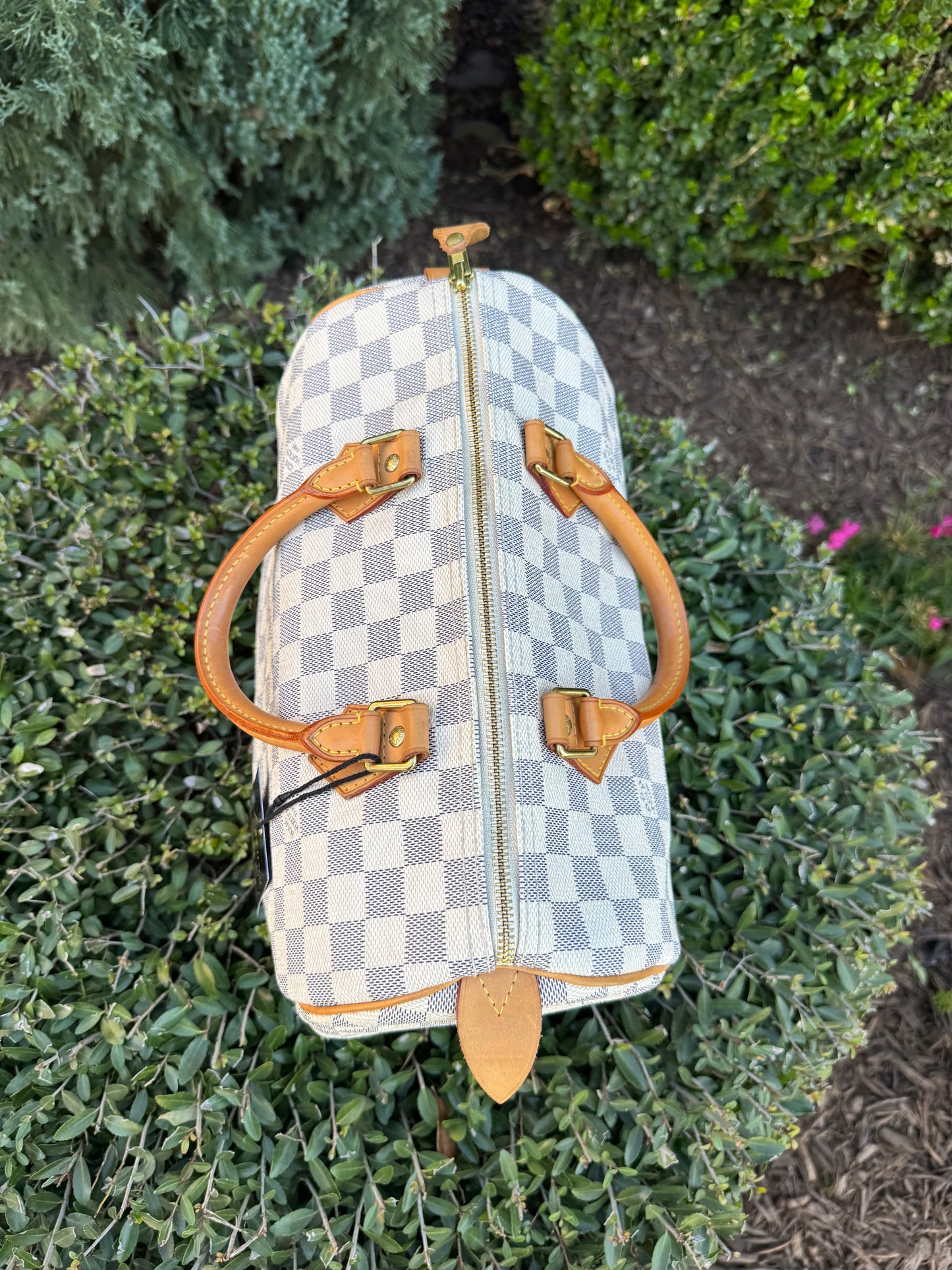Louis Vuitton Speedy 30