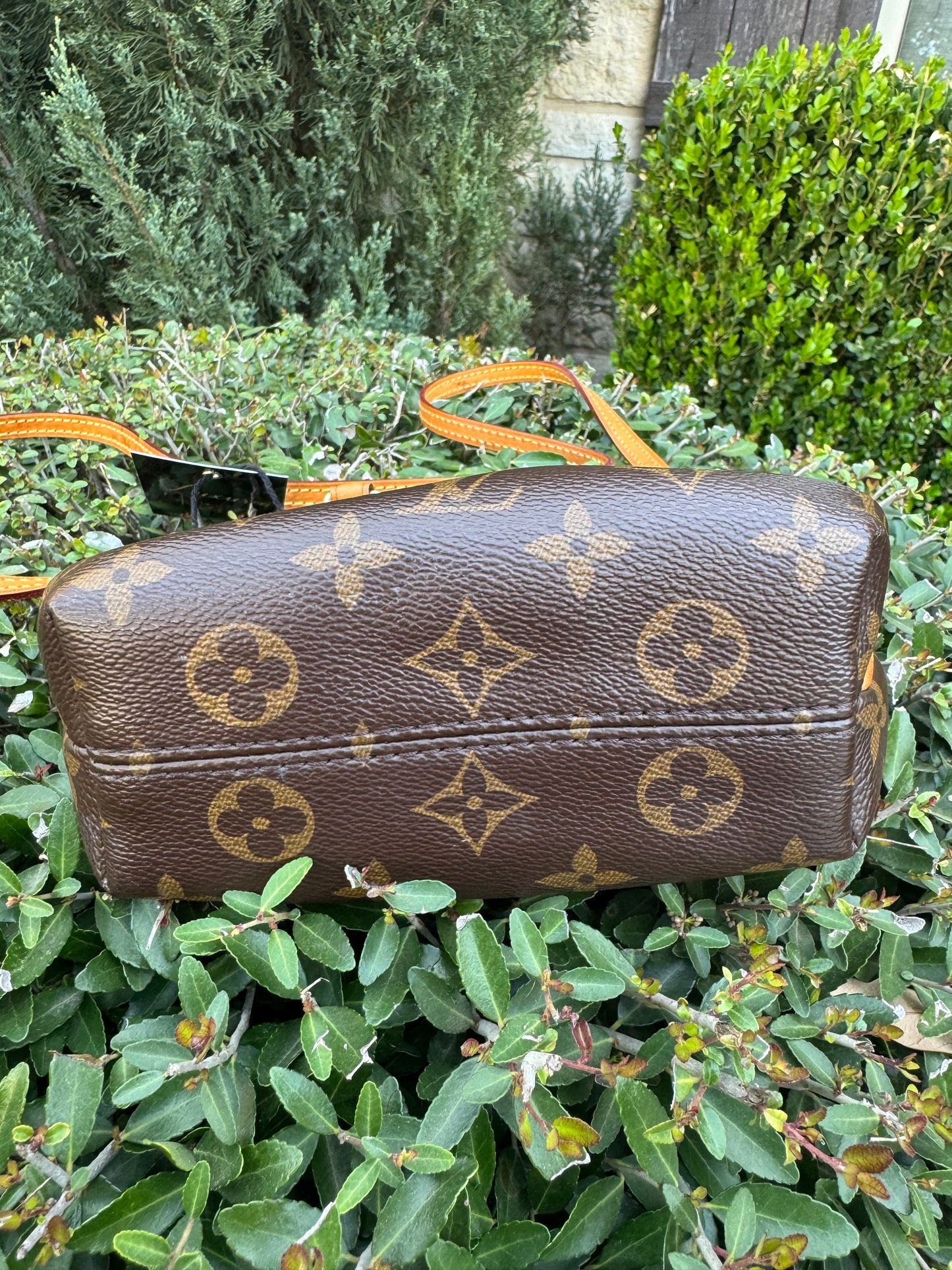 Louis Vuitton Nano Turenne