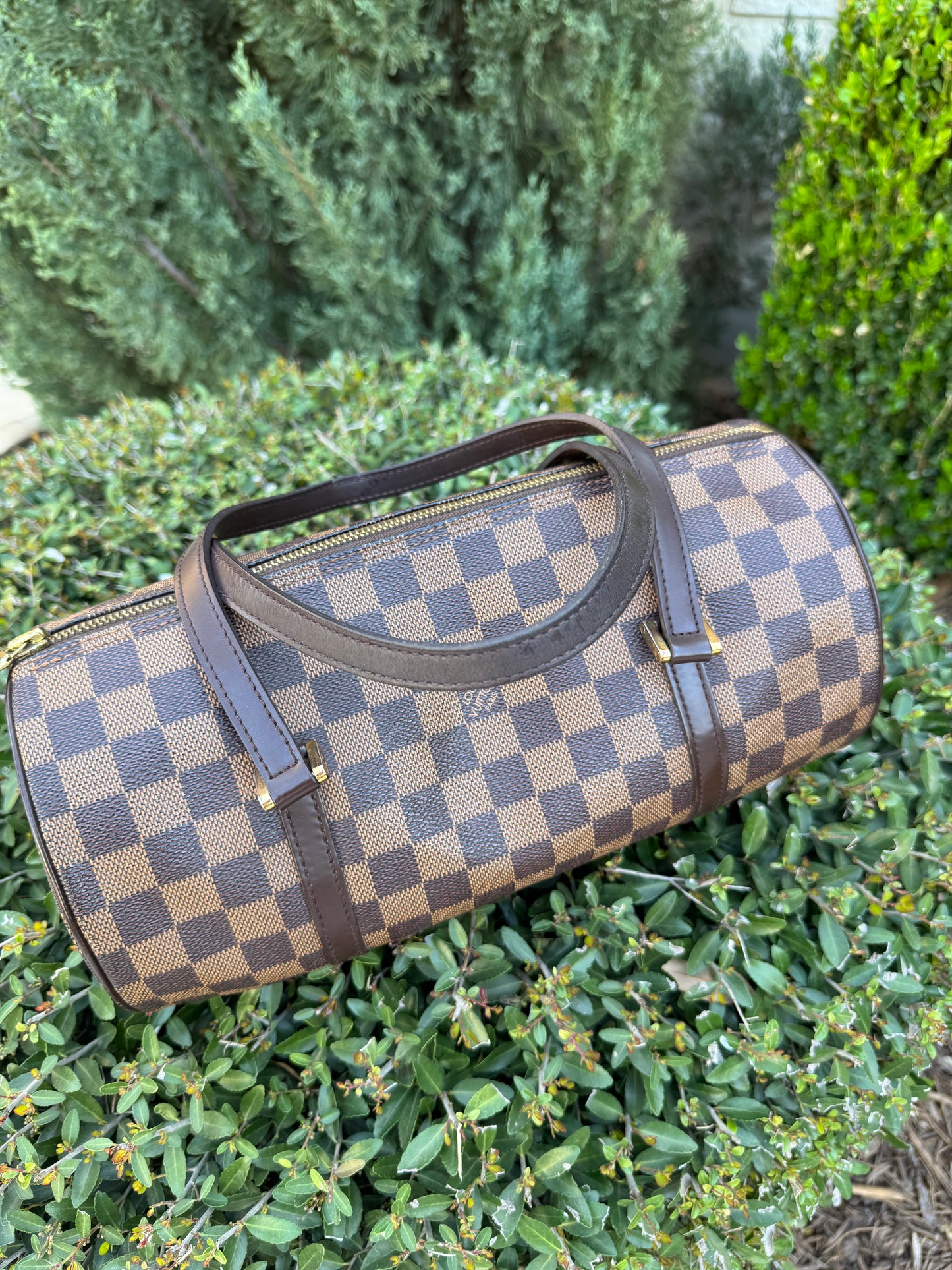 Louis Vuitton Papillon 30