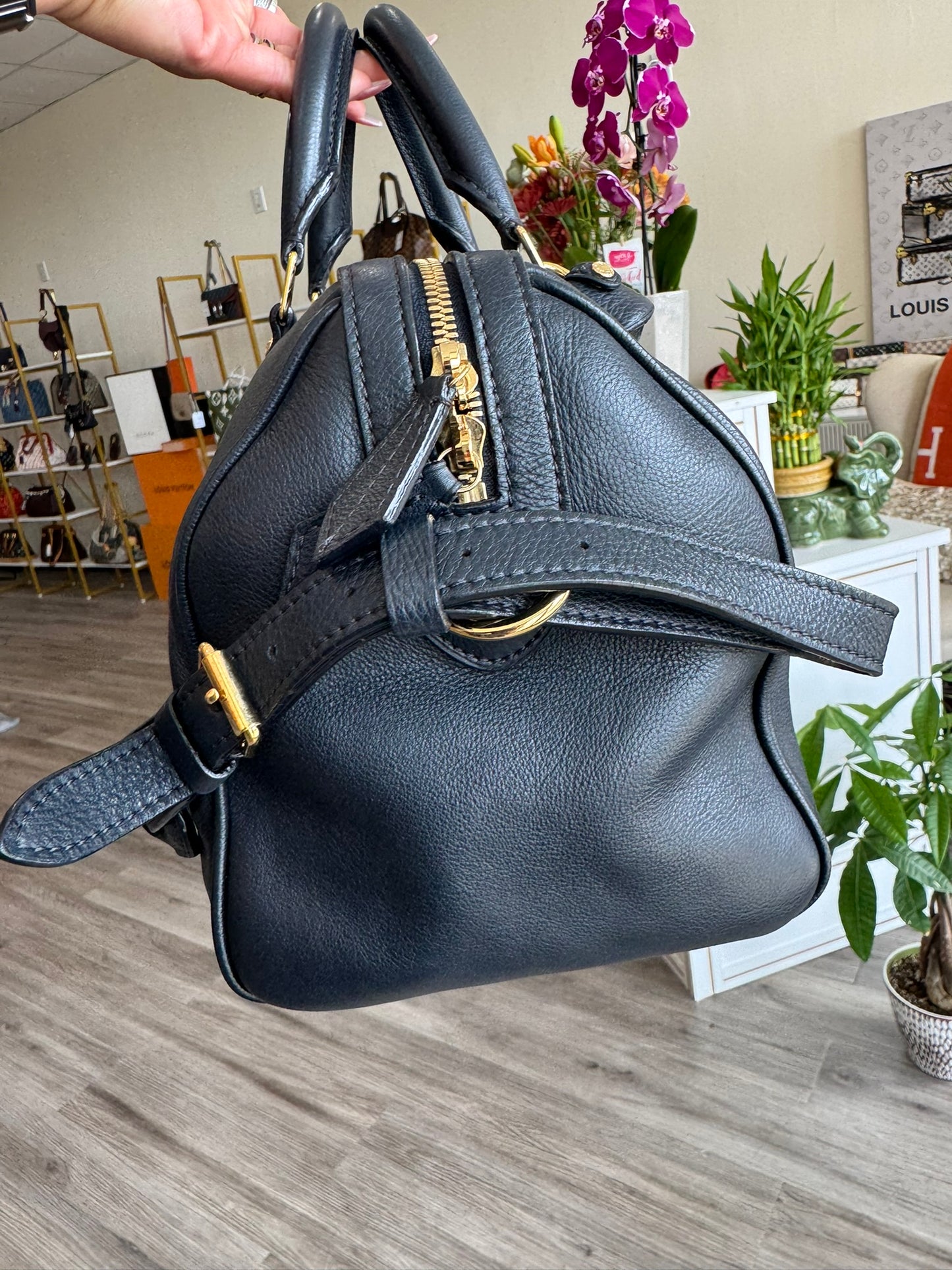 Louis Vuitton Sofia Coppola Bag