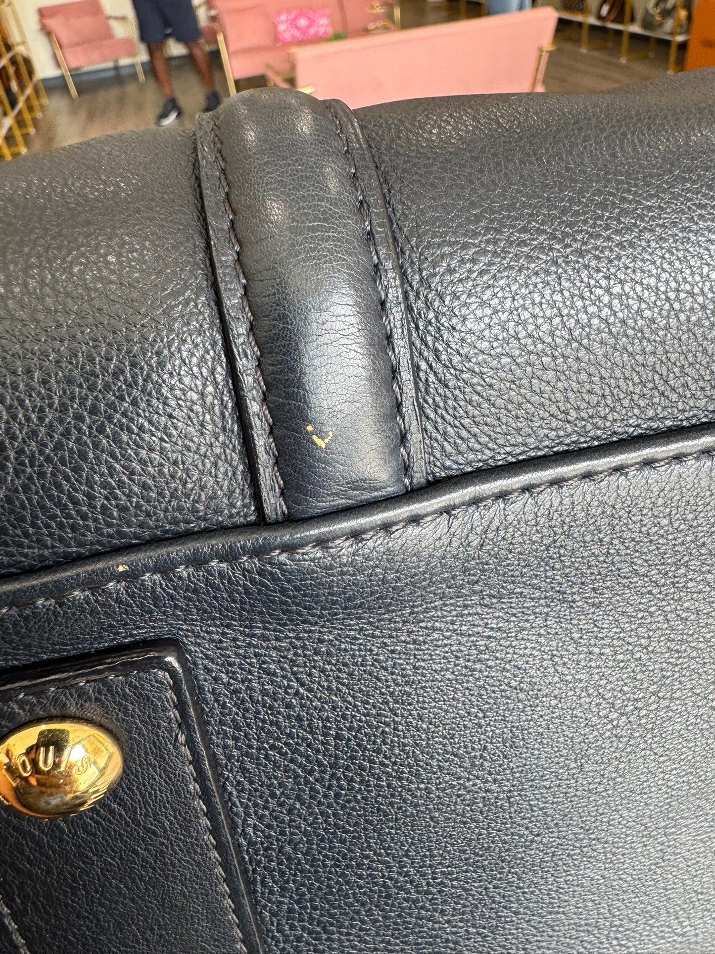 Louis Vuitton Sofia Coppola Bag