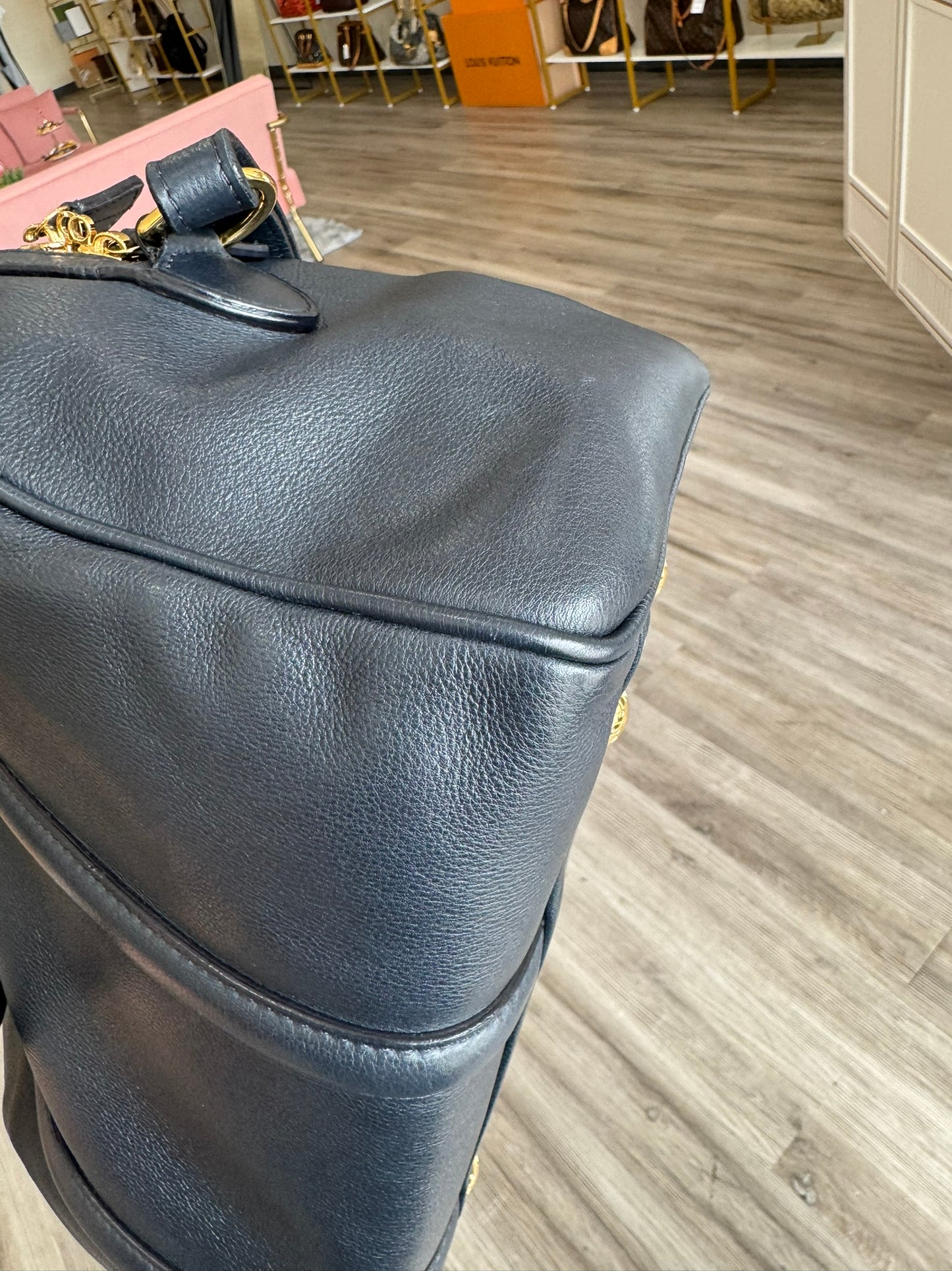 Louis Vuitton Sofia Coppola Bag