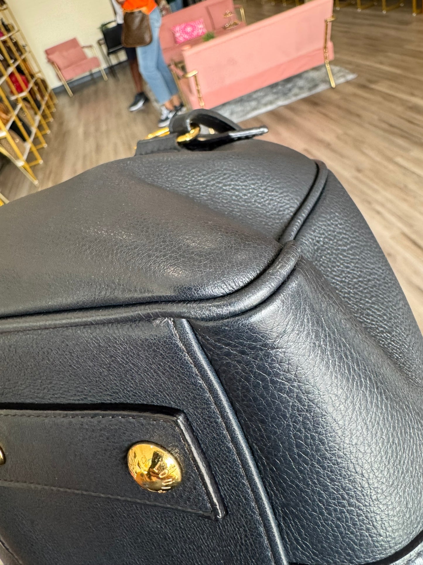 Louis Vuitton Sofia Coppola Bag