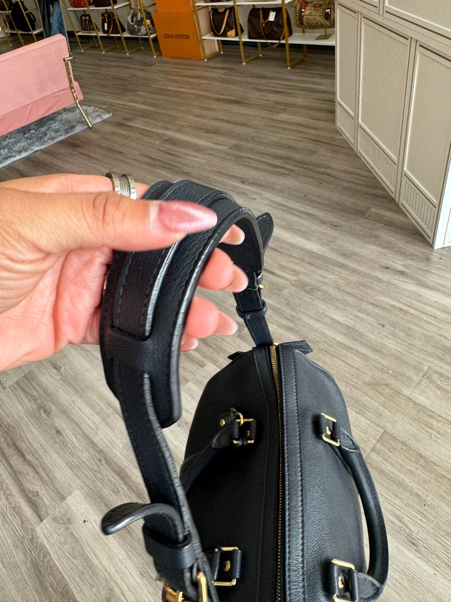 Louis Vuitton Sofia Coppola Bag