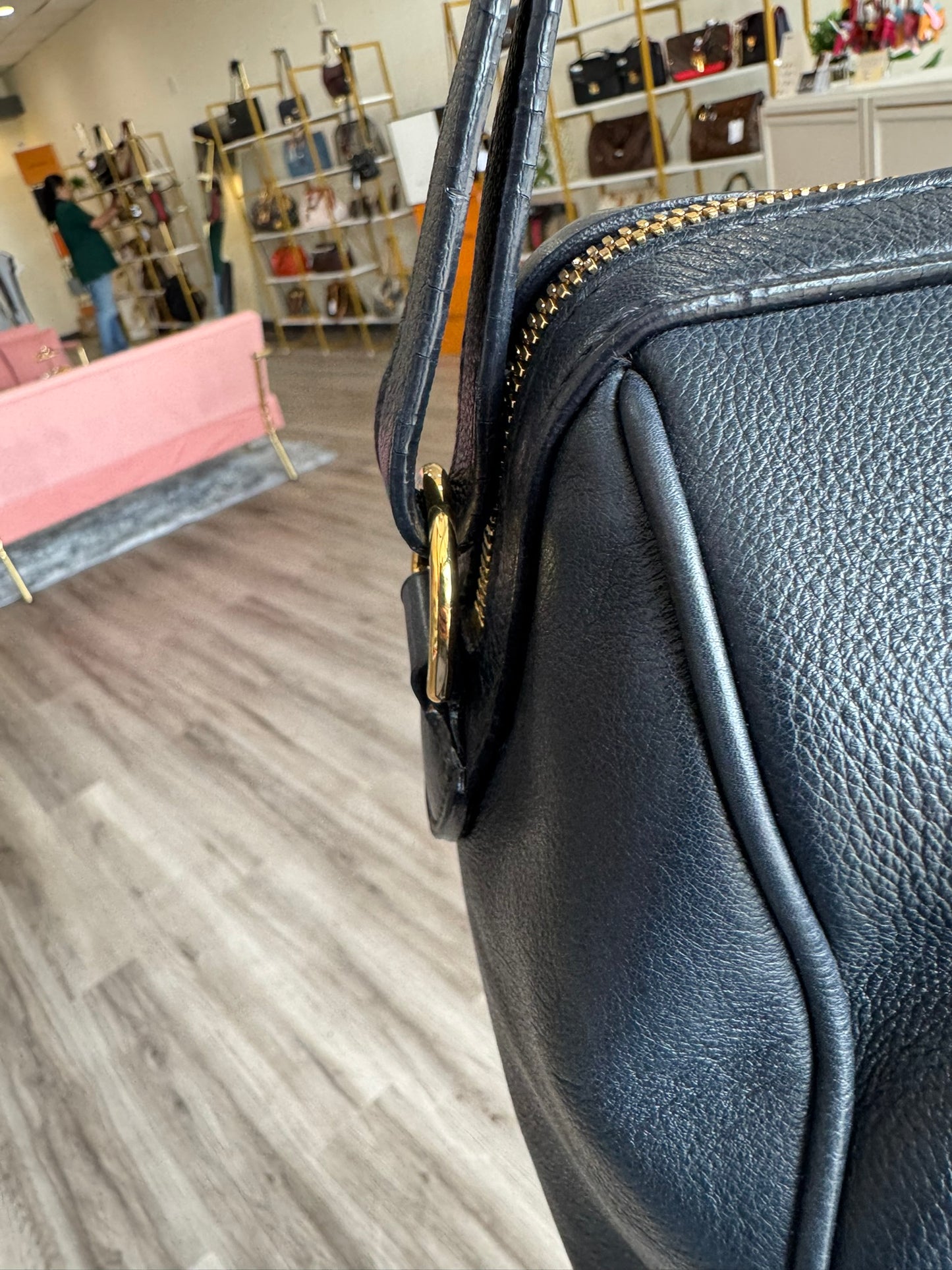 Louis Vuitton Sofia Coppola Bag