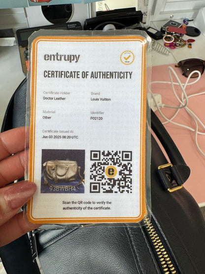 Louis Vuitton Sofia Coppola Bag