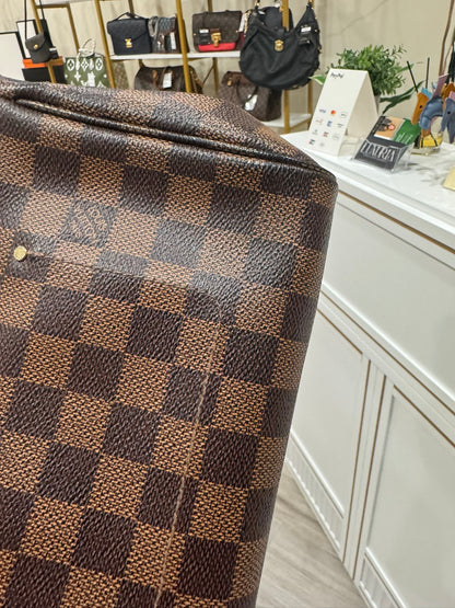 Louis Vuitton Favorite MM in Damier Ebene