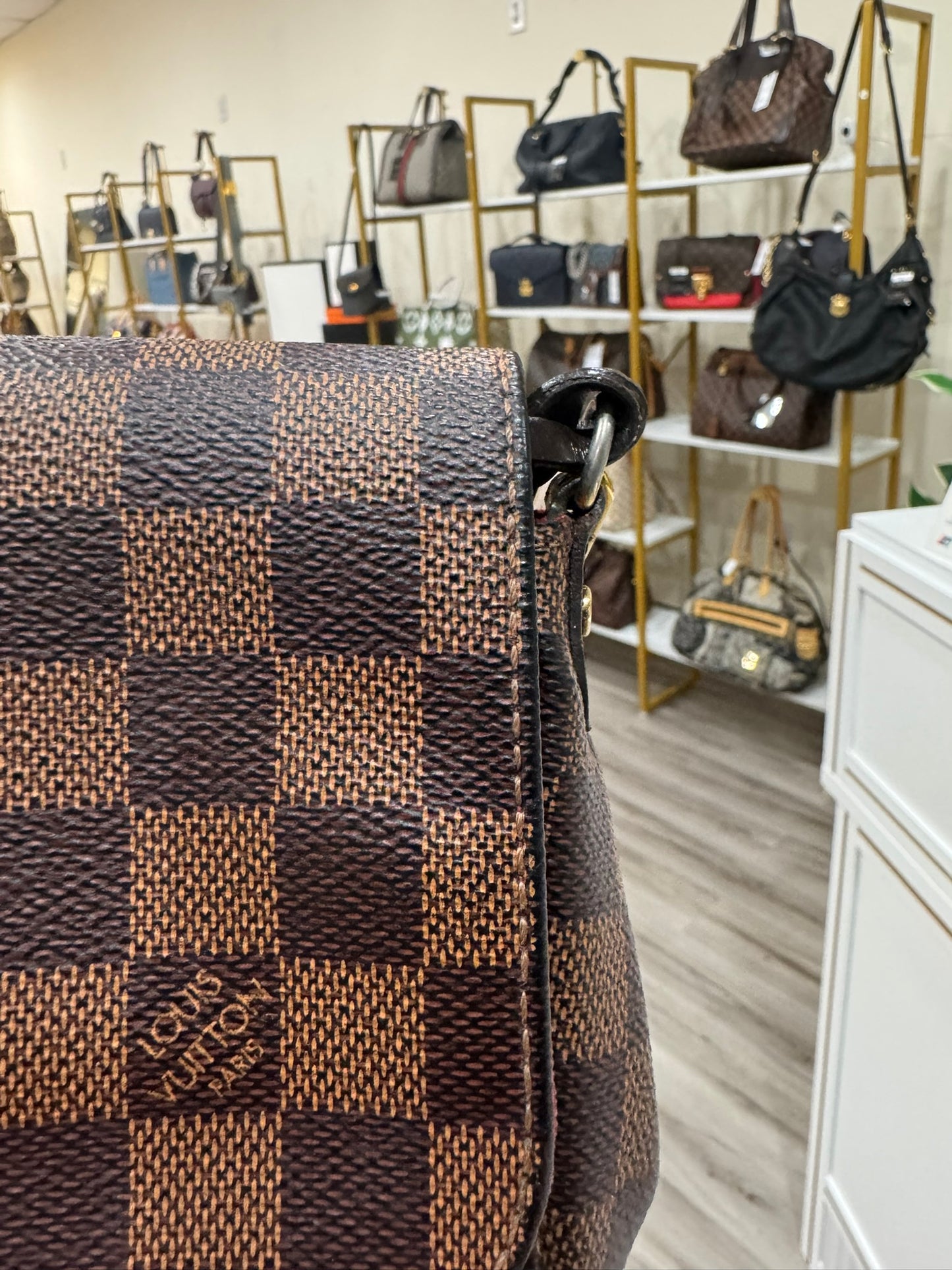 Louis Vuitton Favorite MM in Damier Ebene