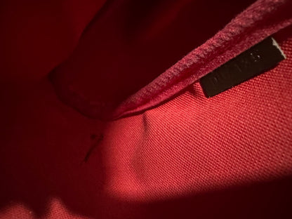 Louis Vuitton Favorite MM in Damier Ebene