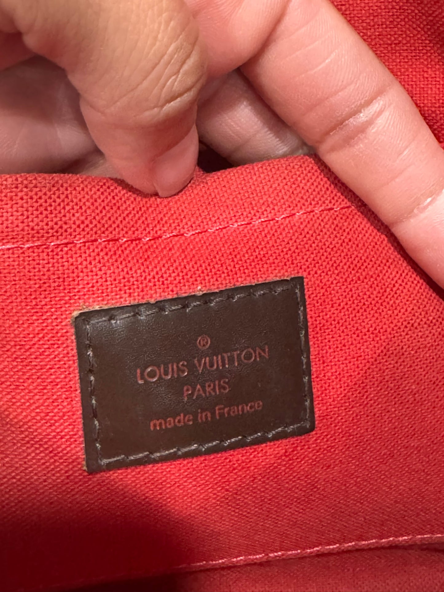 Louis Vuitton Favorite MM in Damier Ebene