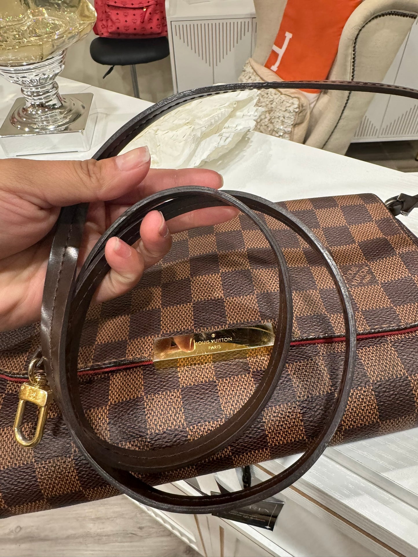 Louis Vuitton Favorite MM in Damier Ebene