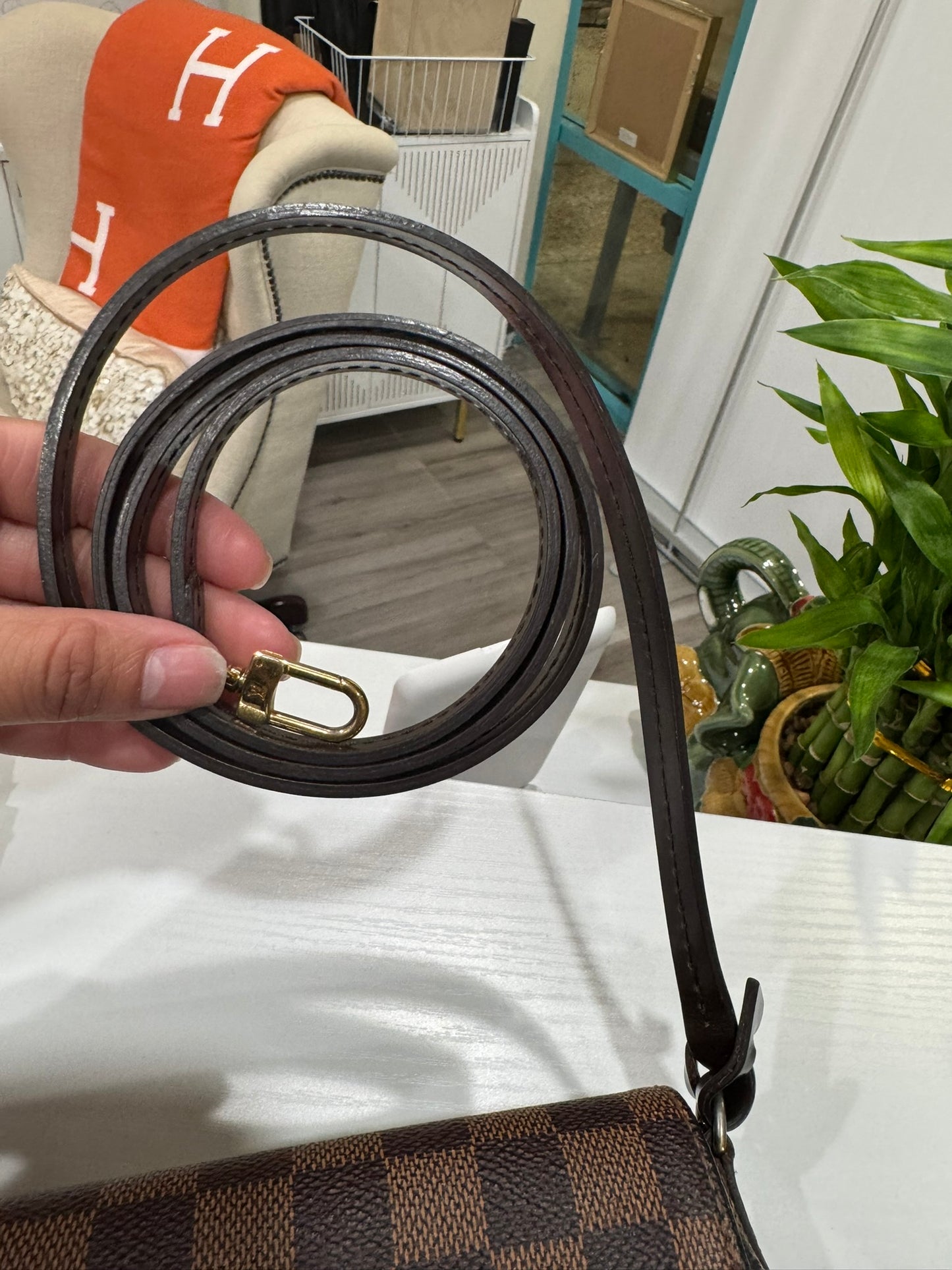 Louis Vuitton Favorite MM in Damier Ebene