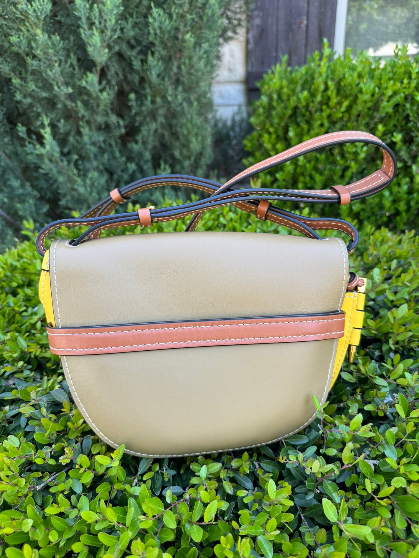 Loewe Small Gate Crossbody Bag in Mocca Yellow & Pecan