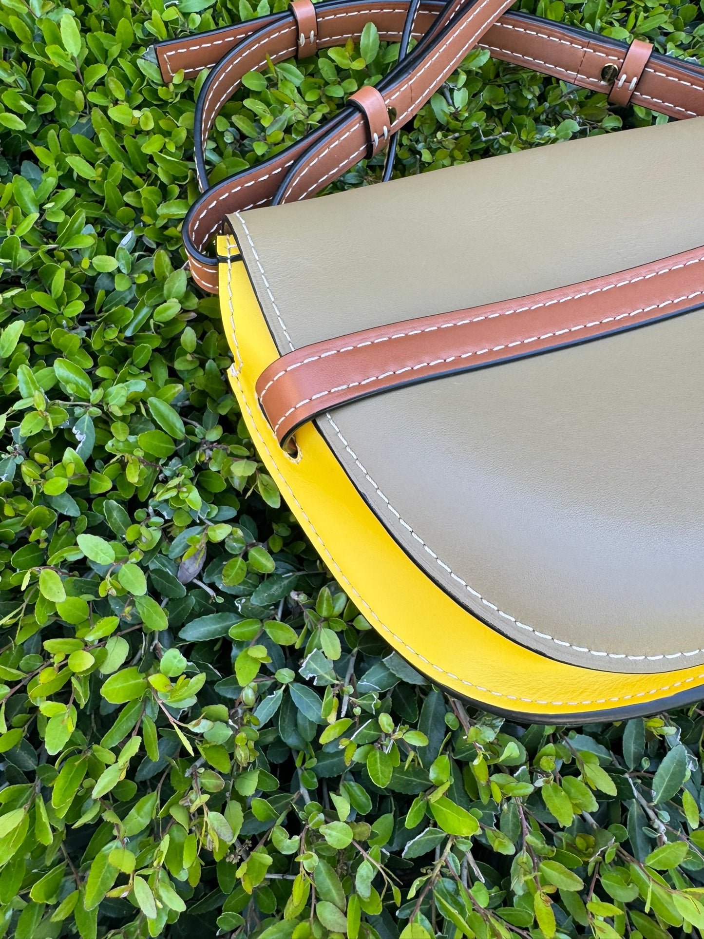 Loewe Small Gate Crossbody Bag in Mocca Yellow & Pecan