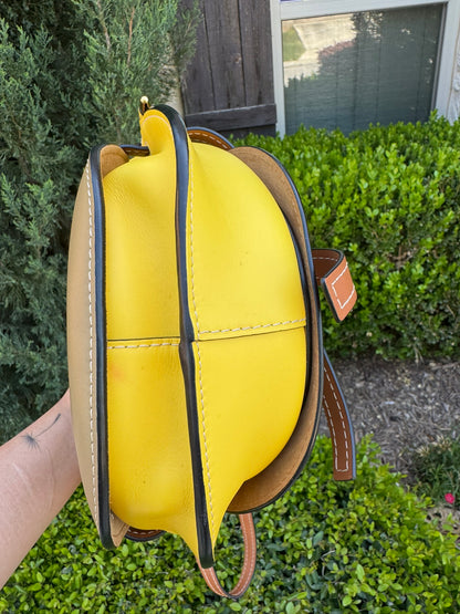 Loewe Small Gate Crossbody Bag in Mocca Yellow & Pecan