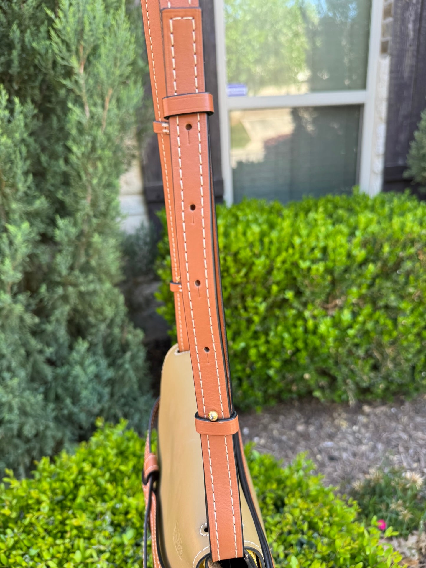 Loewe Small Gate Crossbody Bag in Mocca Yellow & Pecan