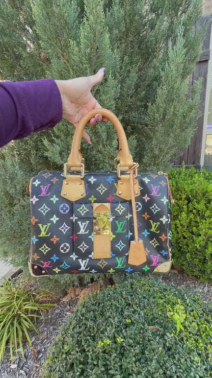 Louis Vuitton Speedy 30 – Multicolor