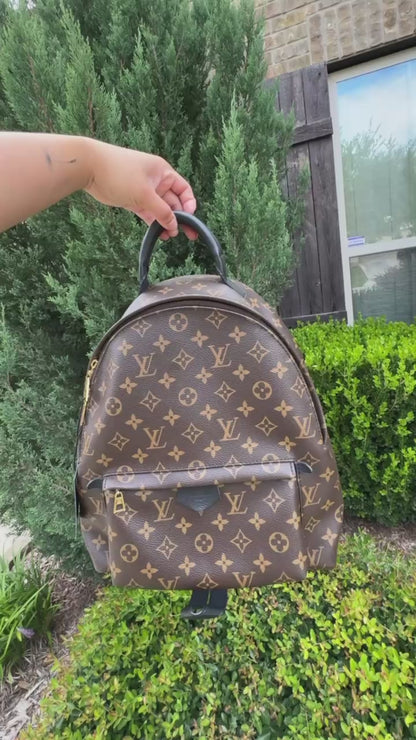 Louis Vuitton Palm Springs MM